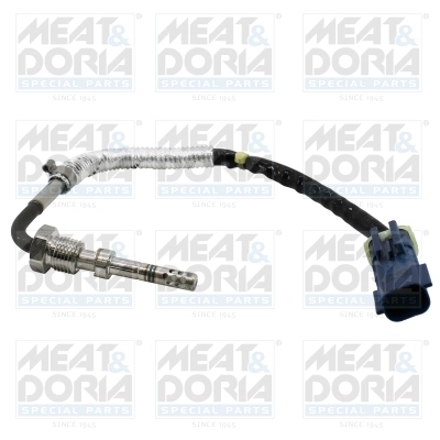 Sensor, exhaust gas temperature